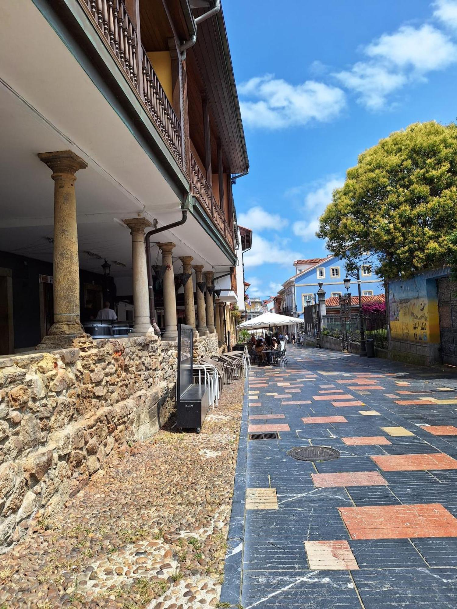 La Santina Y Su Jardin Daire Avilés Dış mekan fotoğraf